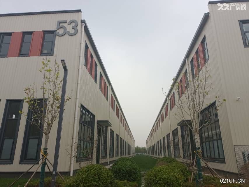 沧州新华区厂房出售实景图2