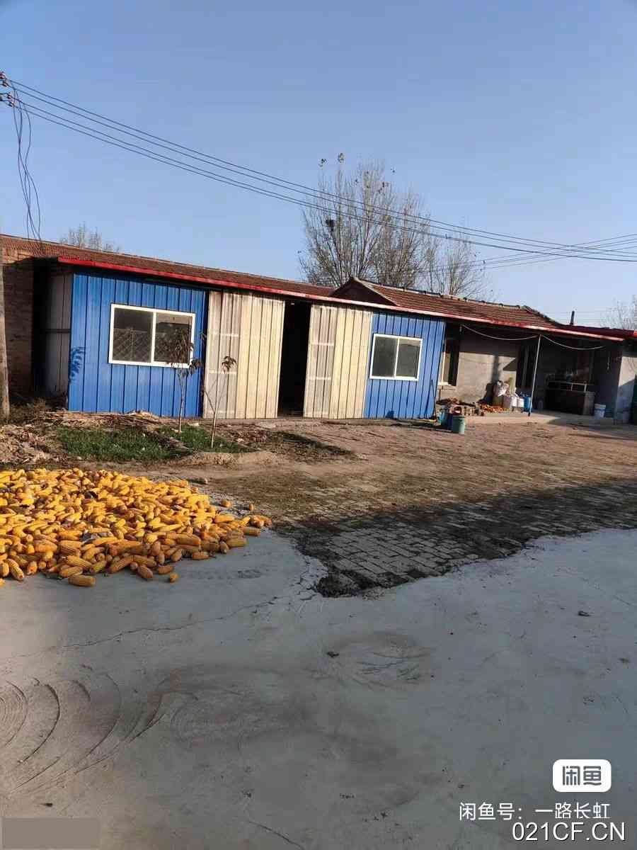 沧州南皮厂房出租实景图2