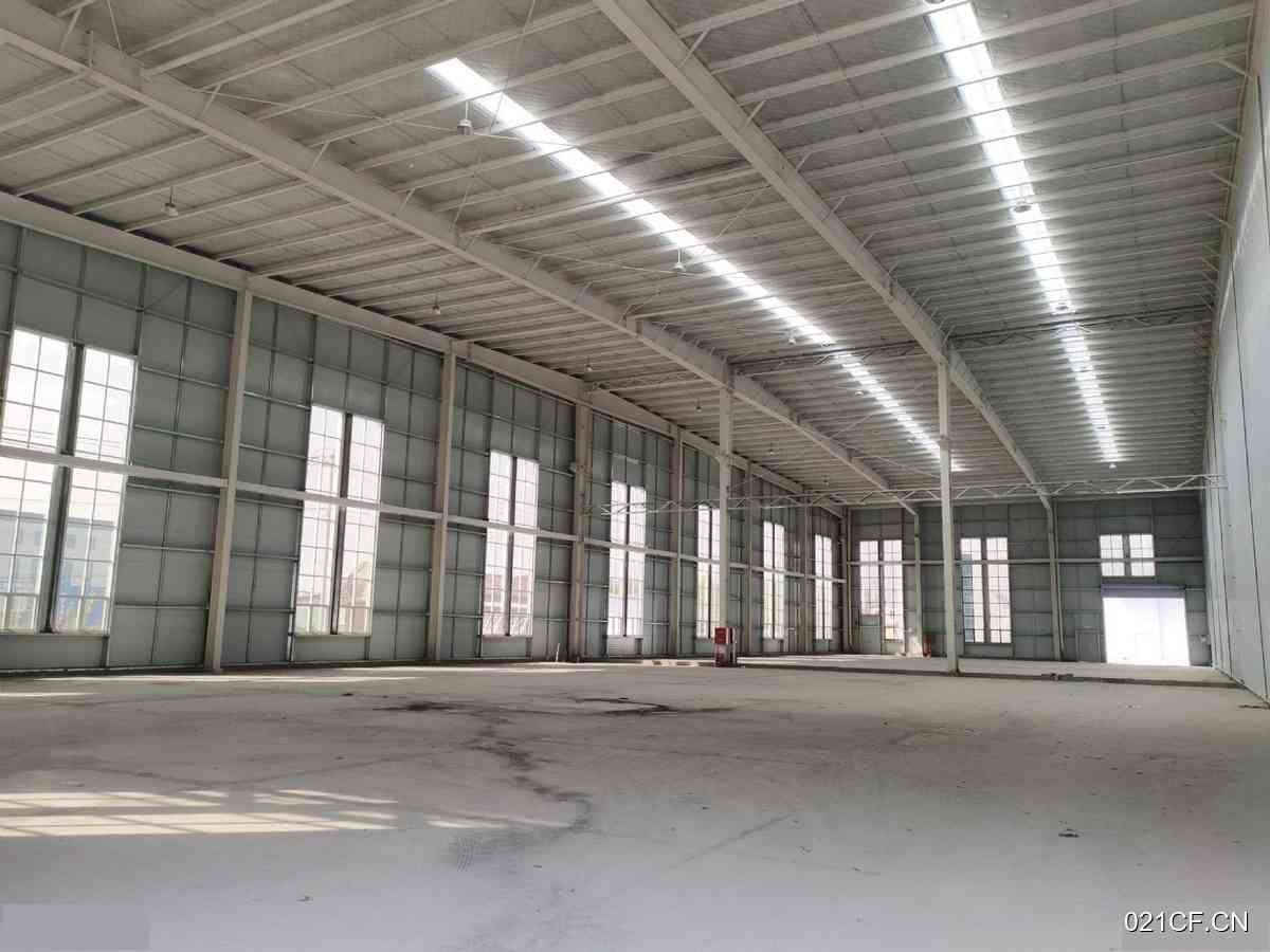 德州齐河厂房出售实景图2