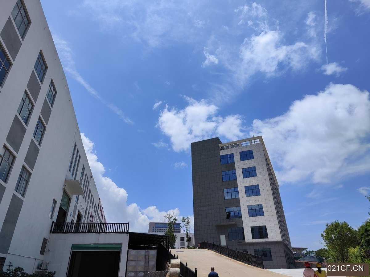 赣州开发区仓库出租实景图2