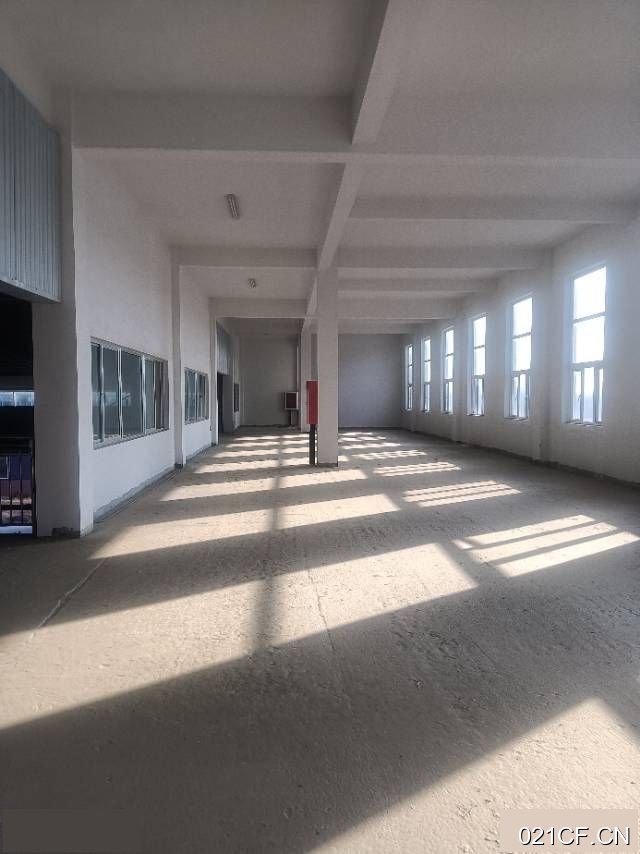 济宁汶上厂房出售实景图2