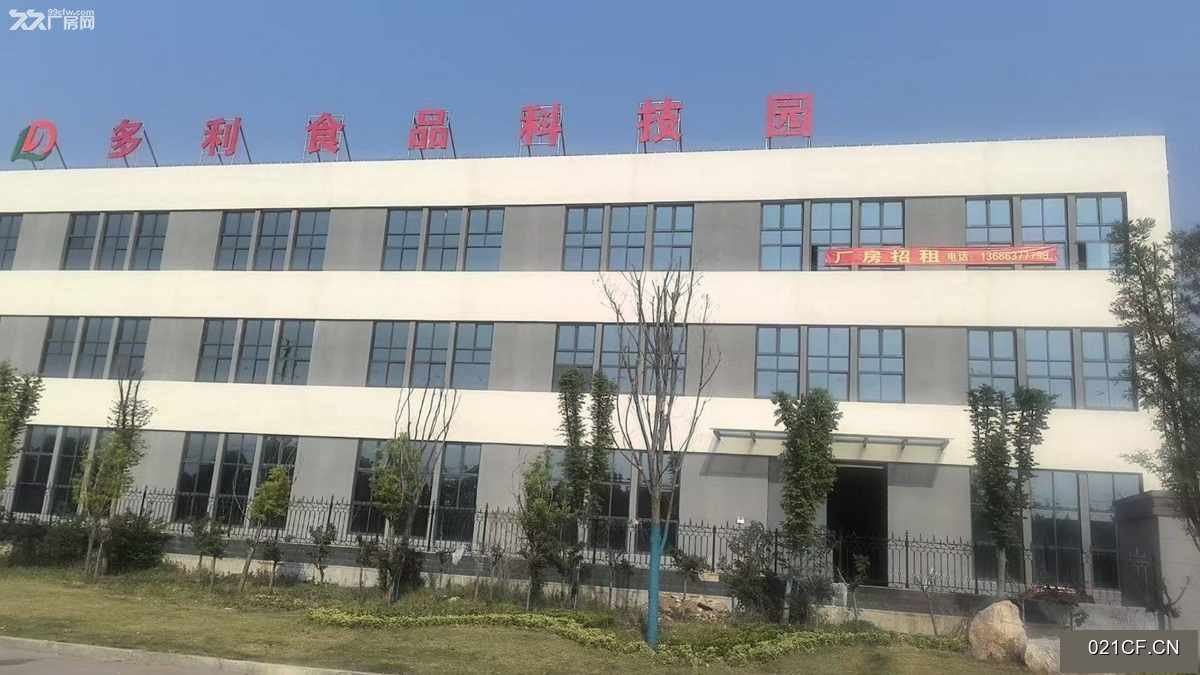 济宁泗水厂房出租实景图2