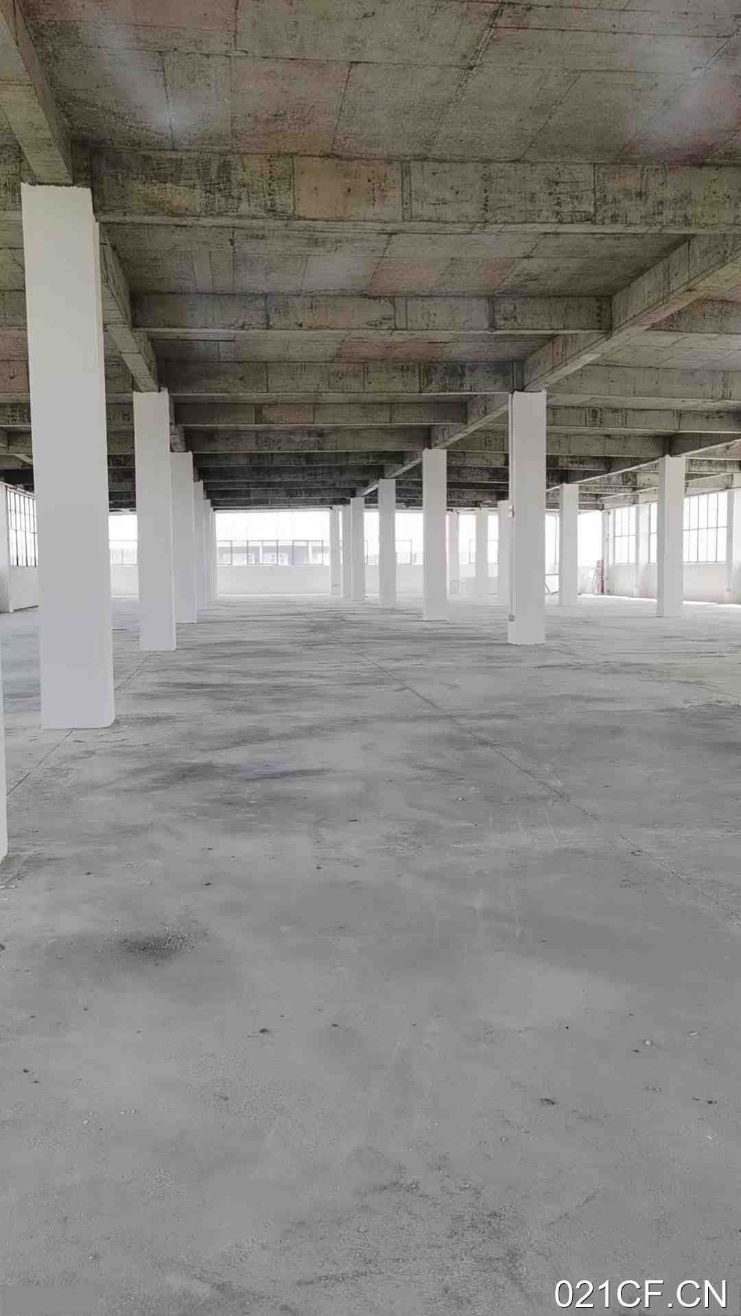 九江县厂房出租实景图2