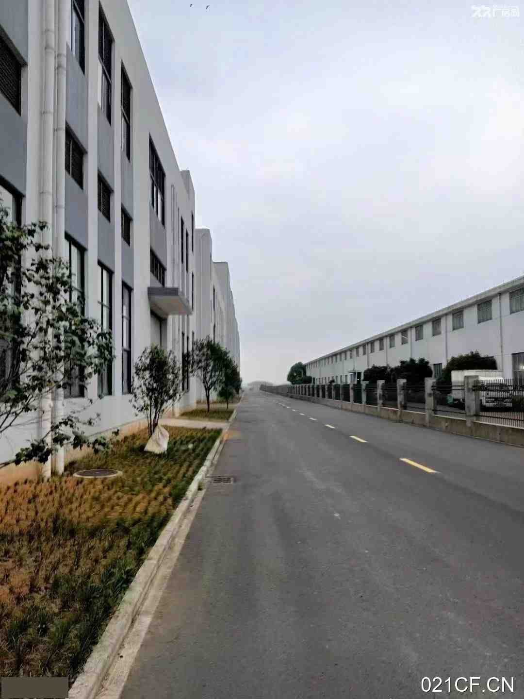 衢州龙游厂房出售实景图2
