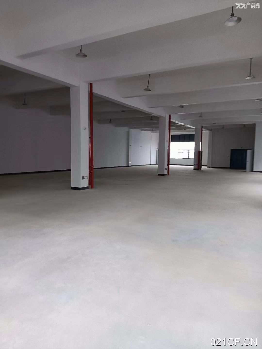 开发区衢州龙游城南开发区全新一手现房性价比高标准厂房多层仓库出售厂房出售：现房即买即用