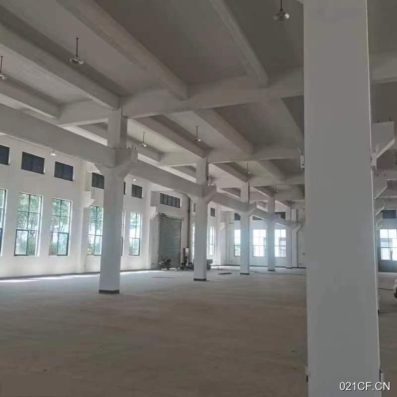 衢州龙游仓库出售实景图2