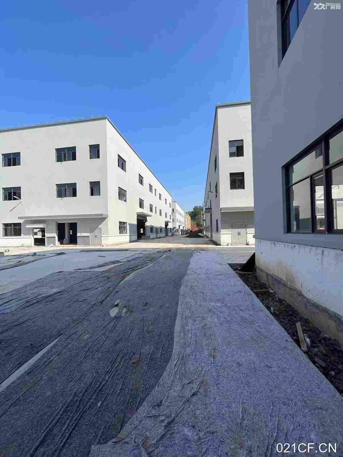 衢州衢江厂房出租实景图2