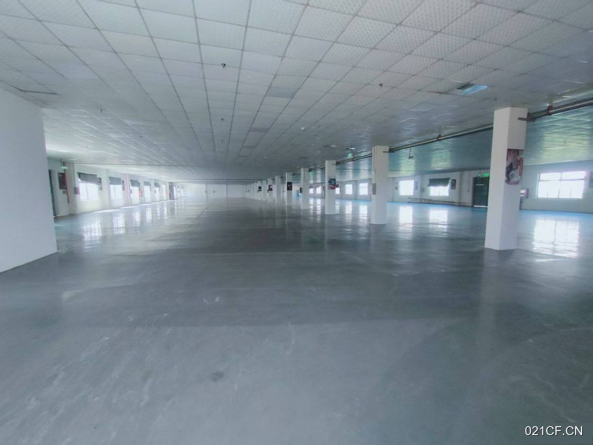 盐城滨海厂房出租实景图2