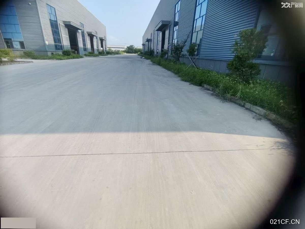 盐城射阳厂房出租实景图2