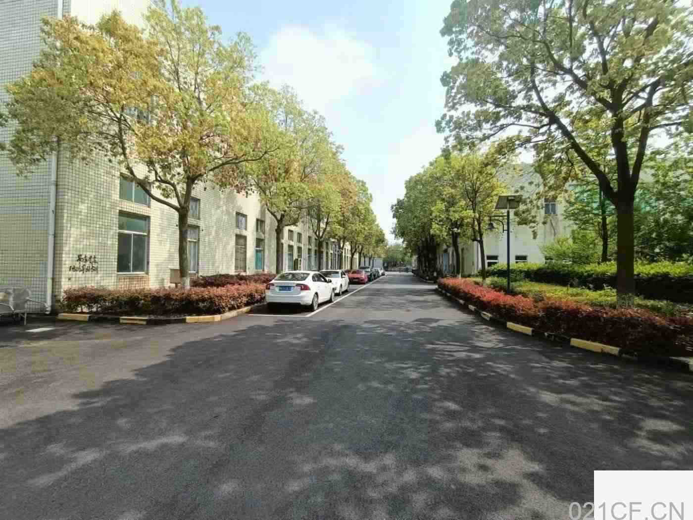 上海闵行 梅陇景联路一楼400平厂房出租｜首层5.5米层高