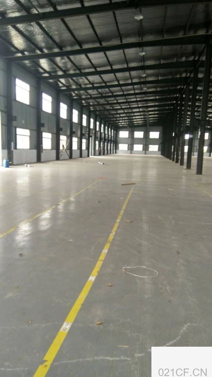 上海浦东桥东路12000㎡ 康桥厂房出租｜工业园首层11米层高