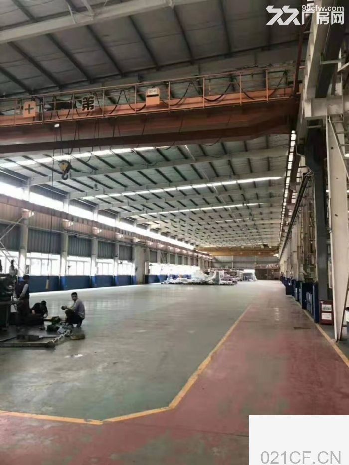 上海松江 临港新城独栋全单层厂房高14米大房东直租可加工仓储厂房出租｜工业园首层14米层高