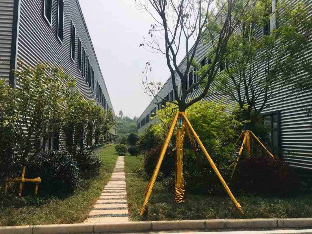 嘉兴秀洲国家高新区单层厂房仓库出租可售可租