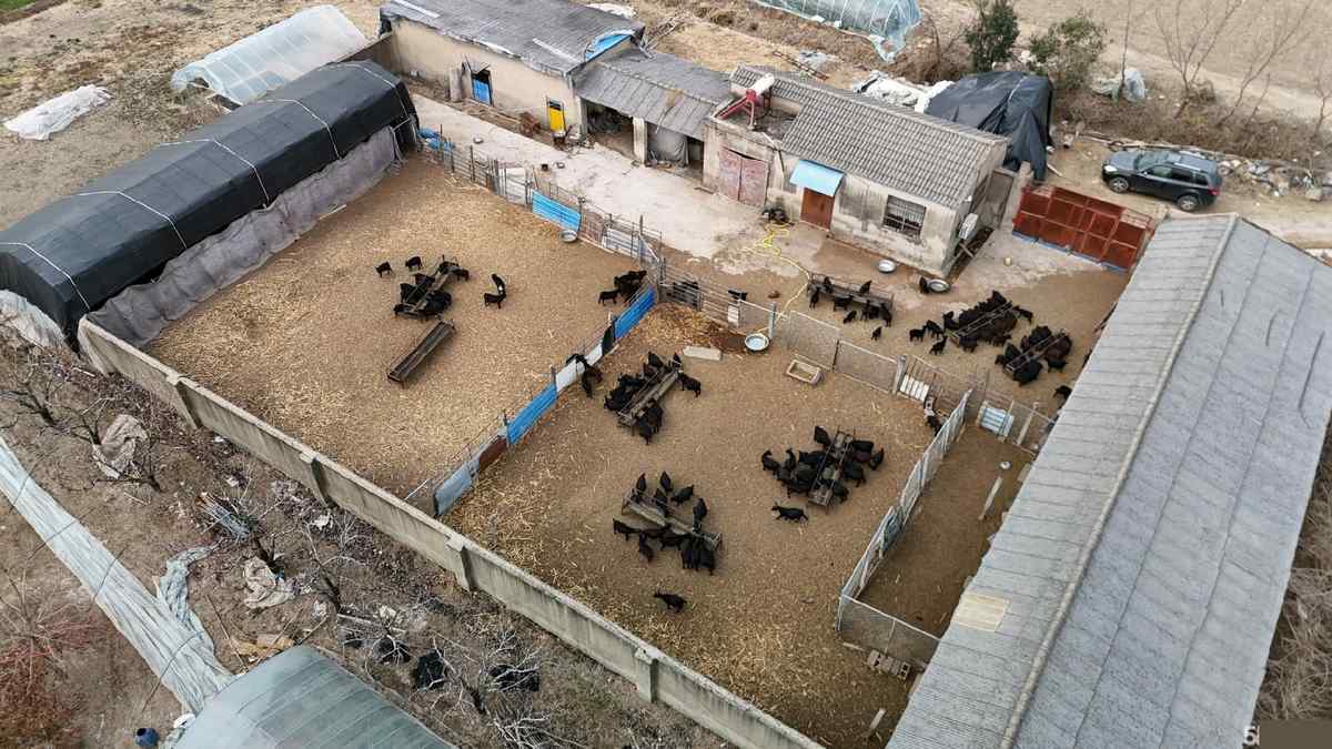 上海独门独院，在村子外面，有三相电，养殖养老均可徐州厂房出租，优质产业载体享政策扶持