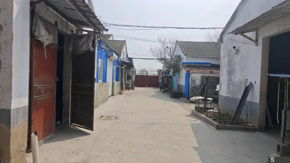 上海个人直租，4000平建筑面积，10亩占地，原养鸡场厂厂房出租，优质产业载体享政策扶持
