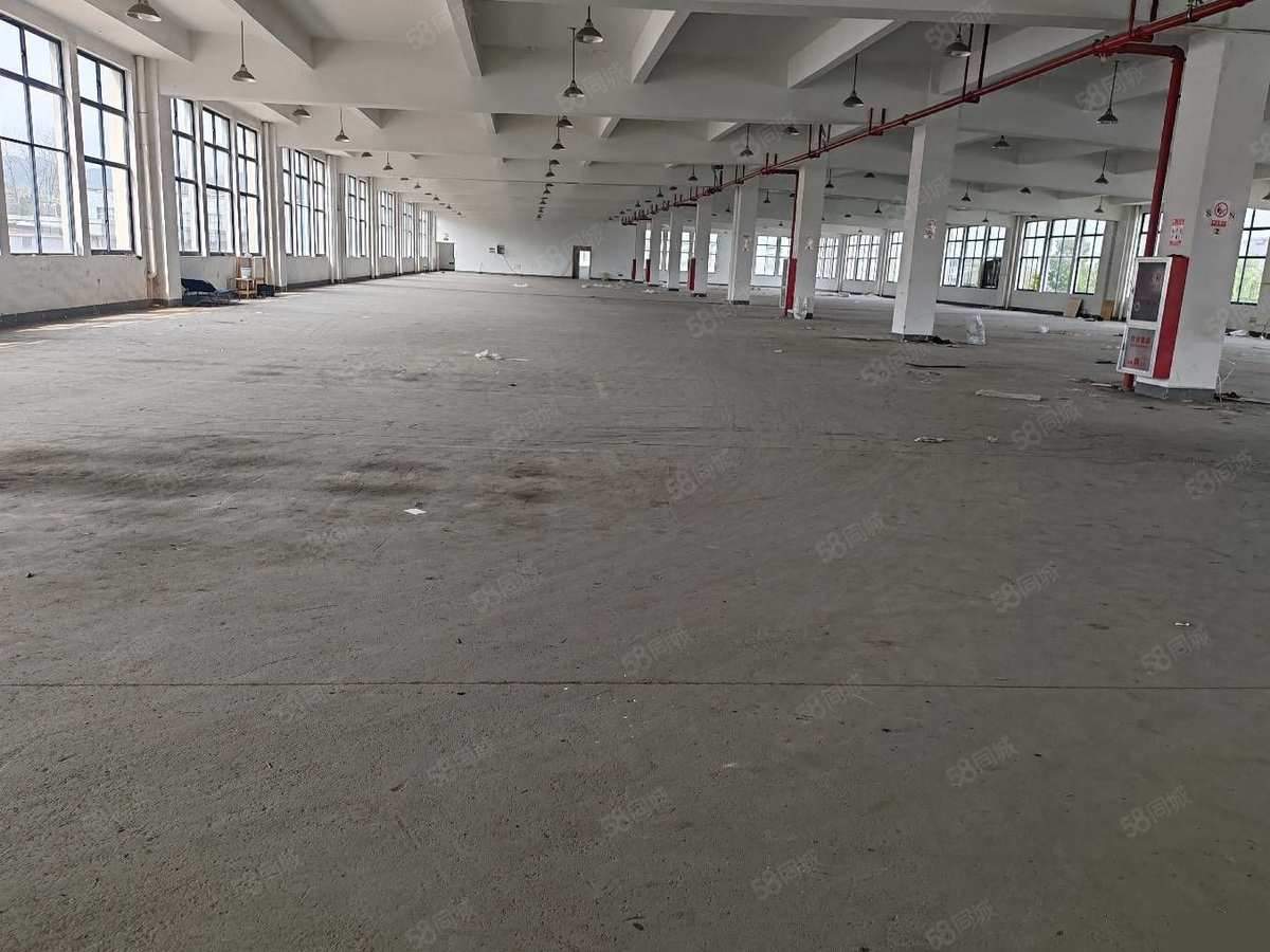 【重点】上海明伟工业区一通三2400平，一通二3600平，层高7厂房出租，首层7.8米层高