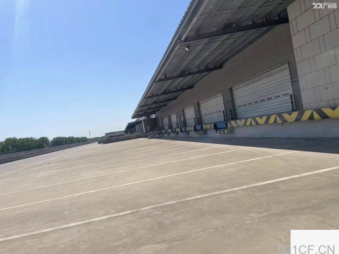 上海金山 金山亭林高标仓库出租26000平防尘地坪双边卸货全单层 仓库出租厂房出租｜首层11米层高
