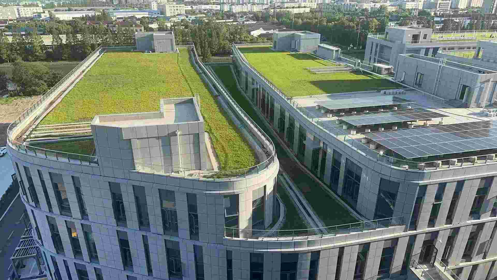 冠龙智水科技园环境