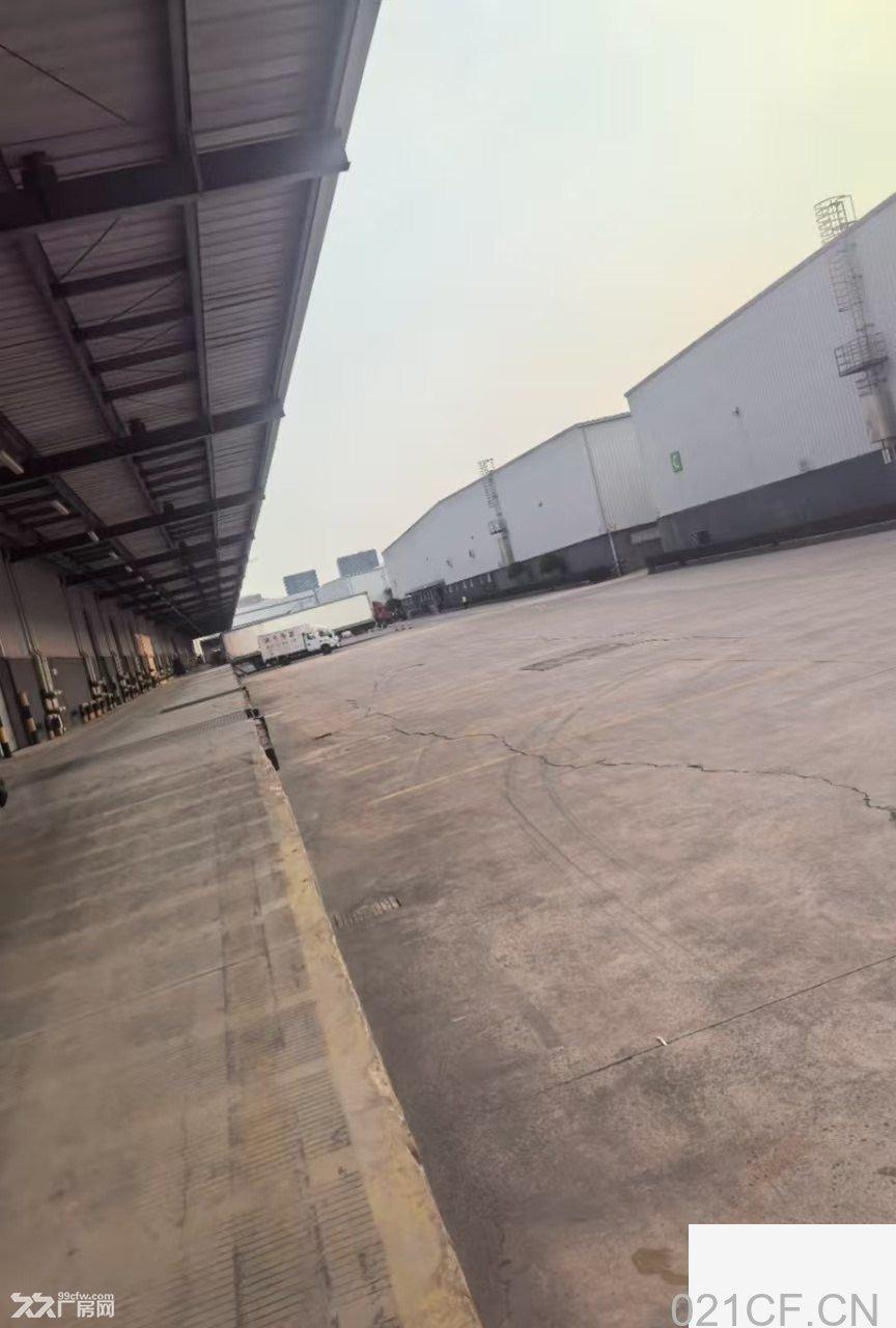 上海浦东 浦东高平台仓库3000-5000平适合电商冷链仓储物流地理位置优越现库使用 仓库出租厂房出厂房出租