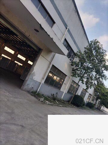 3382㎡ 太仓独院单层厂房出租｜上海，首层8.8米层高