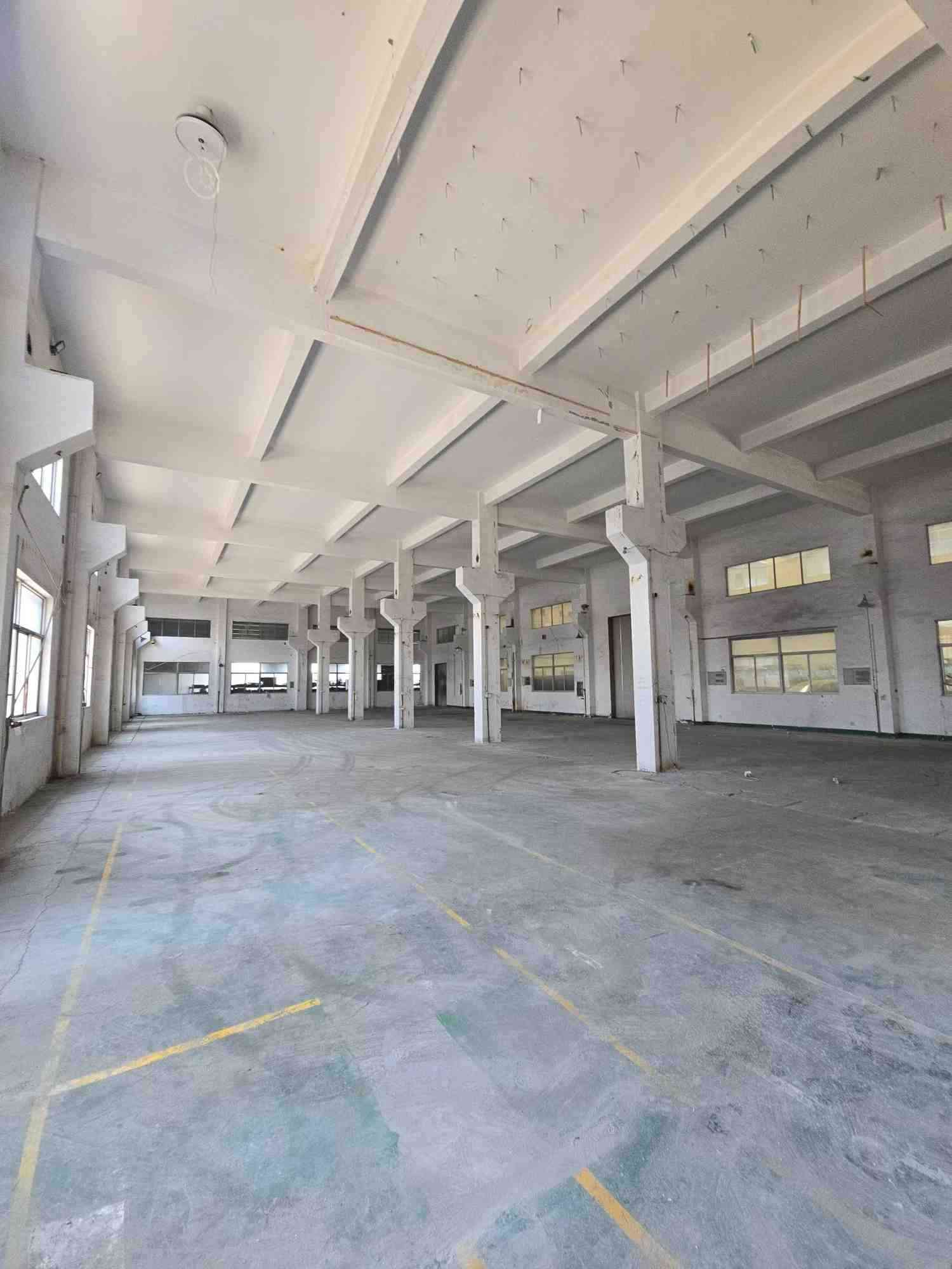 宁波慈溪庵东镇厂房实景