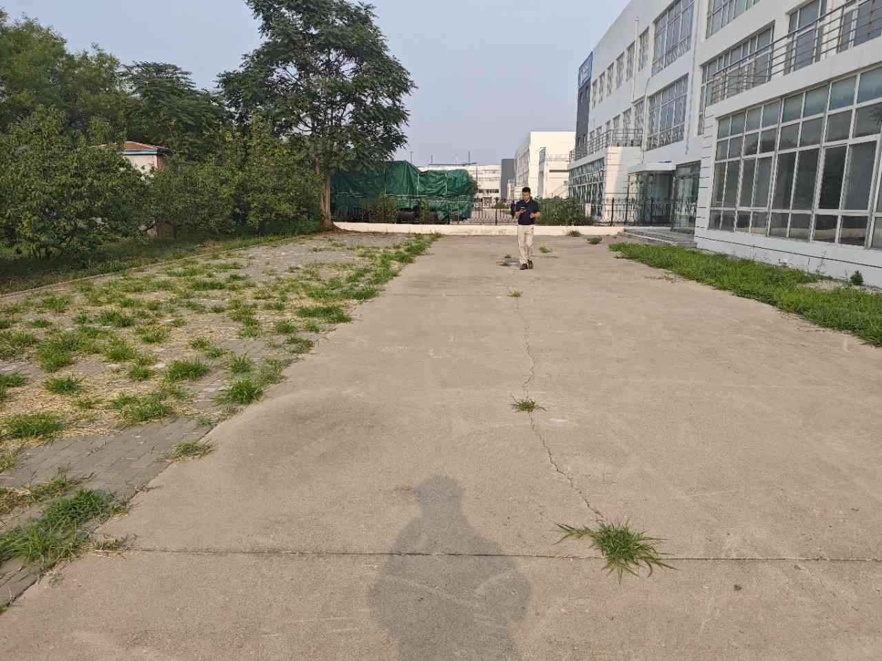 天津西青国际工业城D13-1厂房实景