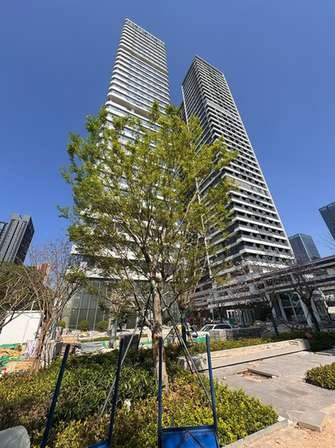 厂房实景