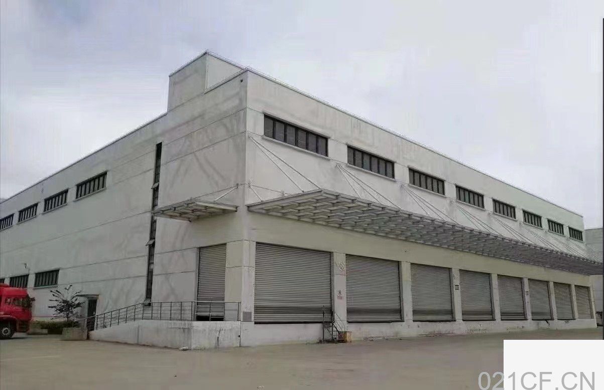 上海南汇 临港新片区，芦潮港仓库在租面积5000平方米，9500平方米等仓库 仓库出租厂房出租，首层