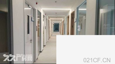上海闵行 全新P2实验室C级细胞房2000平米仿制药研发药谷科技园厂房出租：首层5米层高