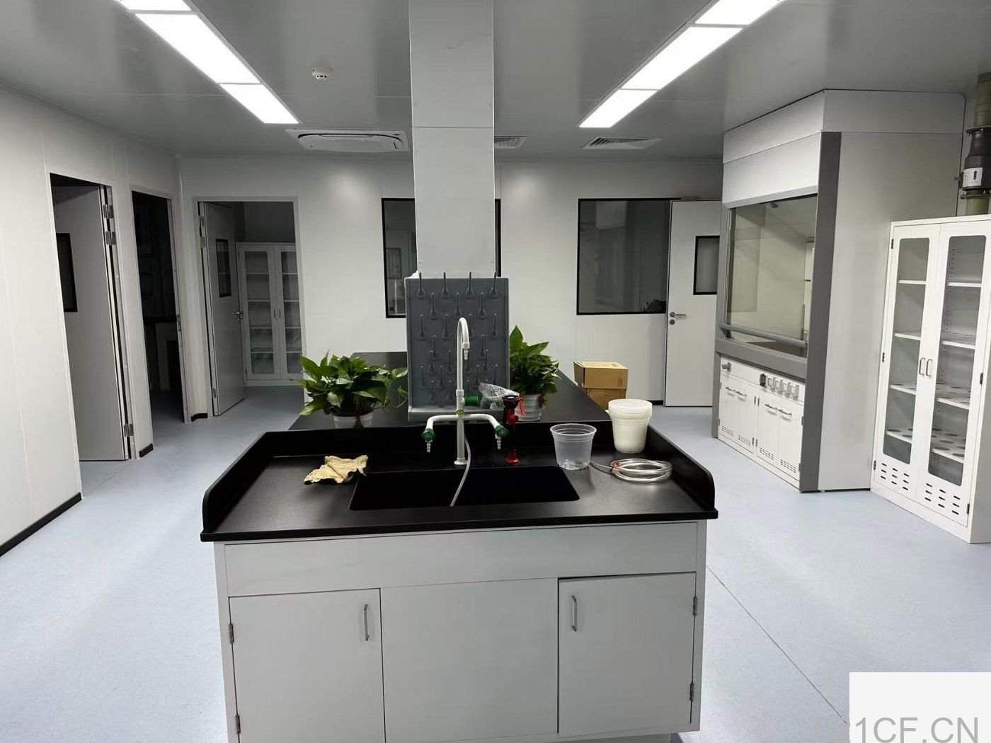 上海闵行 转让全新B级细胞房912平米靶向药研发药谷科技园厂房出售｜首层4.2米层高