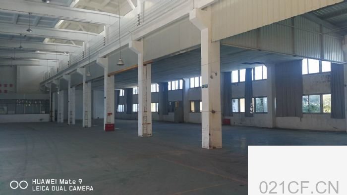 上海浦东 热热热！！！周浦康桥底楼1000至5000平贸易生产（工业园）厂房出租：首层6米层高