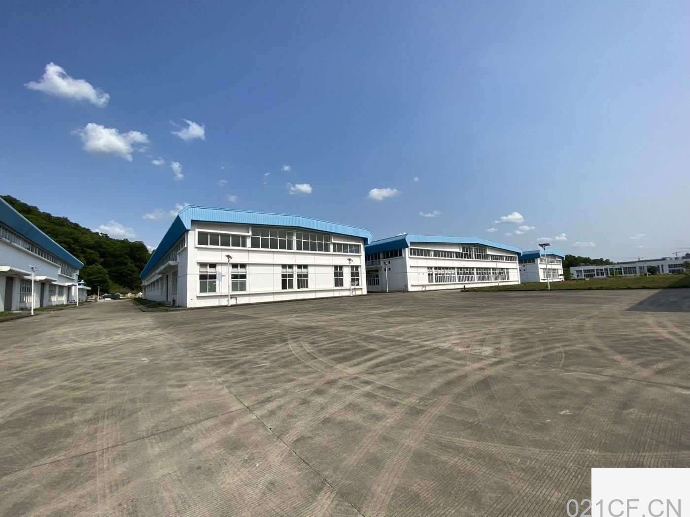 上海奉贤四团镇104板块标准厂房出租 2600平首层7米近S2高速可分租