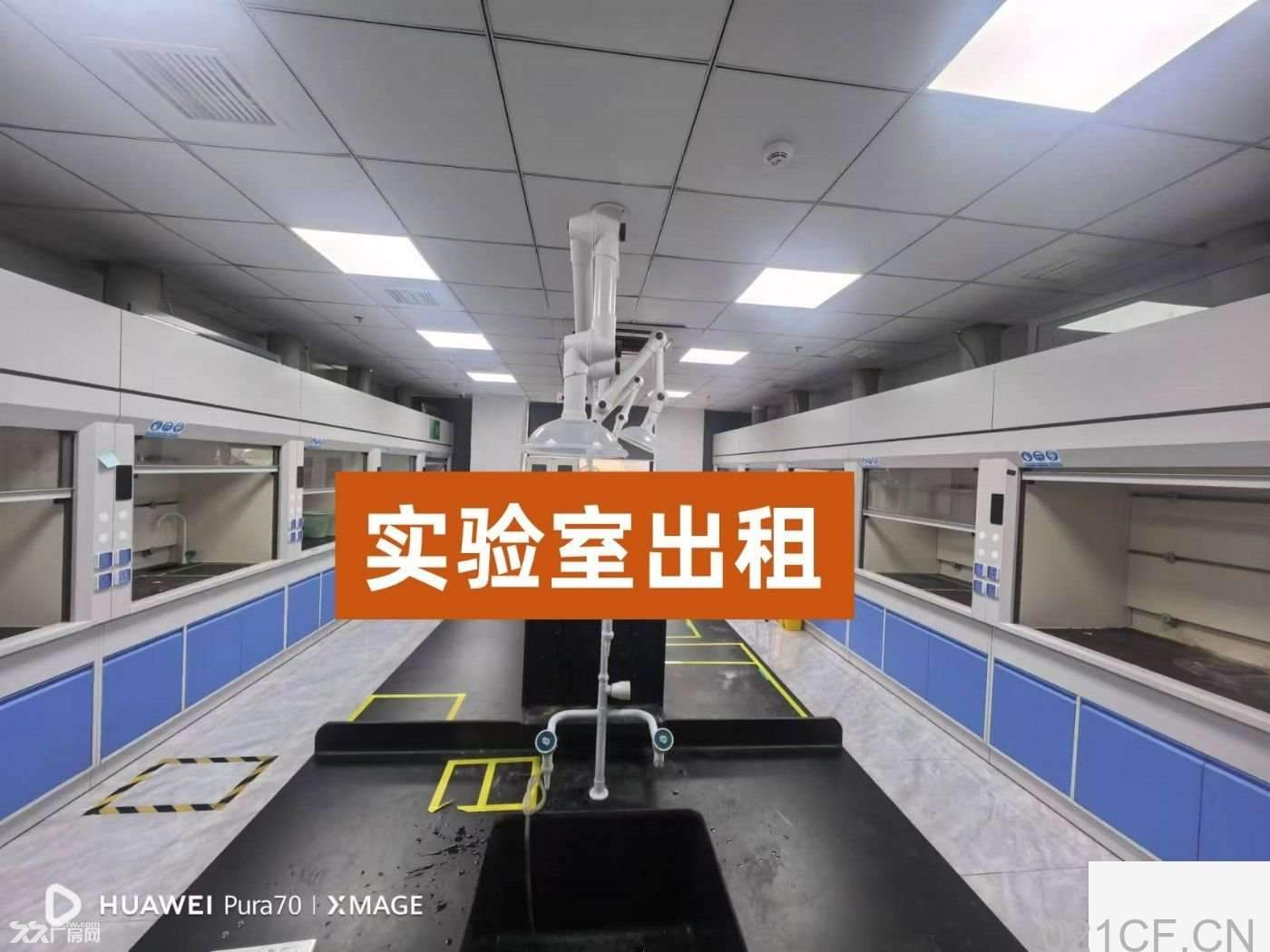 广州市黄埔 实验室出租广州市区，原房东-广州黄埔黄埔厂房出租：首层5米层高