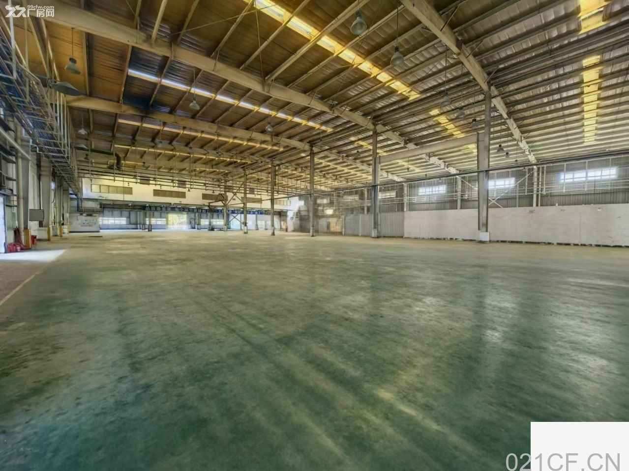 广州黄埔 独门独院单一层厂房出租：首层8米层高
