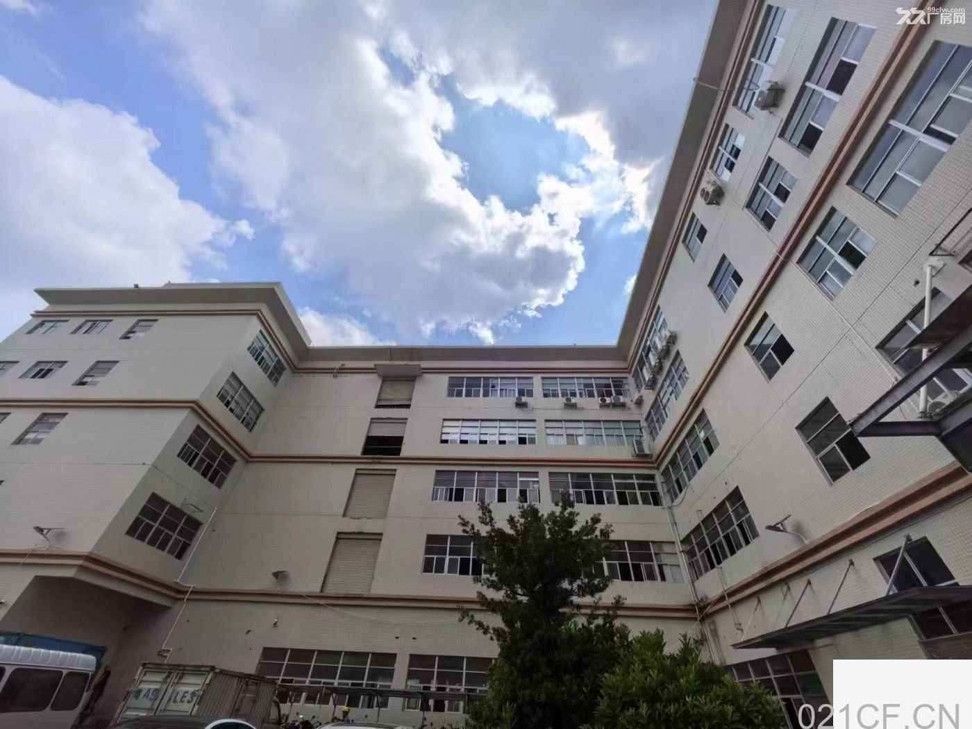 广州黄埔 M2工业厂房实量面积出租18元一平方-广州黄埔厂房出租：首层5米层高