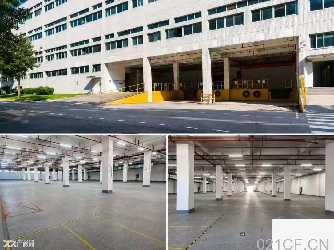广州市天河10000㎡厂房出租：首层5米层高