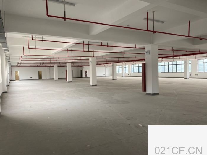 【重点】滨江杭州6000㎡ 滨江标准厂房出租，地铁直达