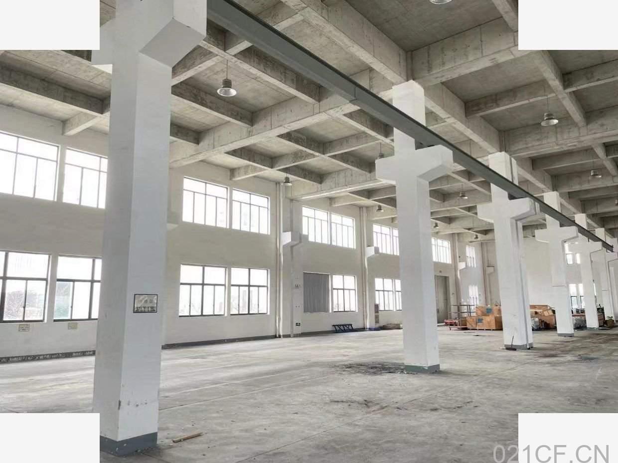 【重点】宁波9900㎡ 出租奉化莼湖工业区标准厂房9900平方-西坞厂房出租，首层9.7米层高