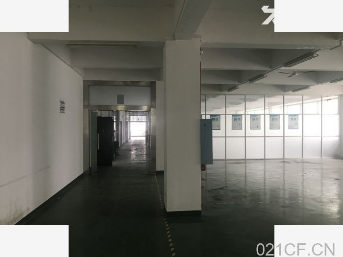 长沙黄金创业园C1栋2楼550.62平生产场地招商-望城厂房出租：首层3.8米层高
