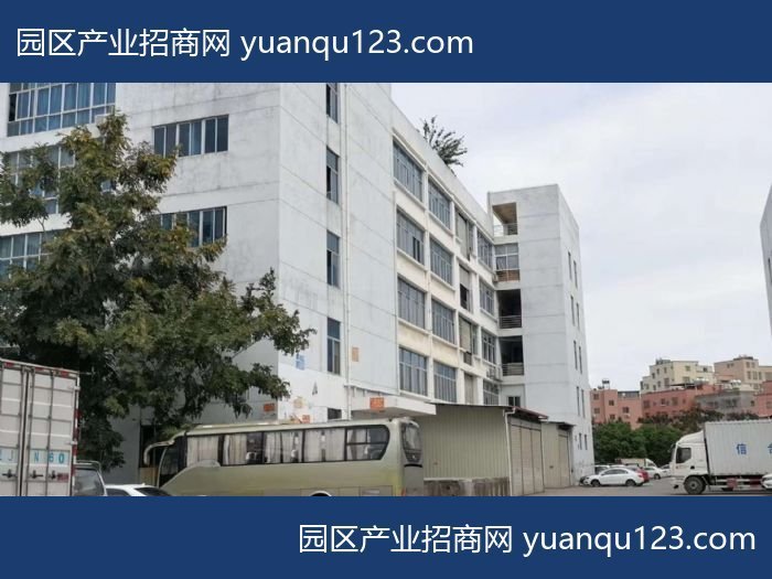 厦门 环东海域1、2、3楼厂房出售：首层6米层高