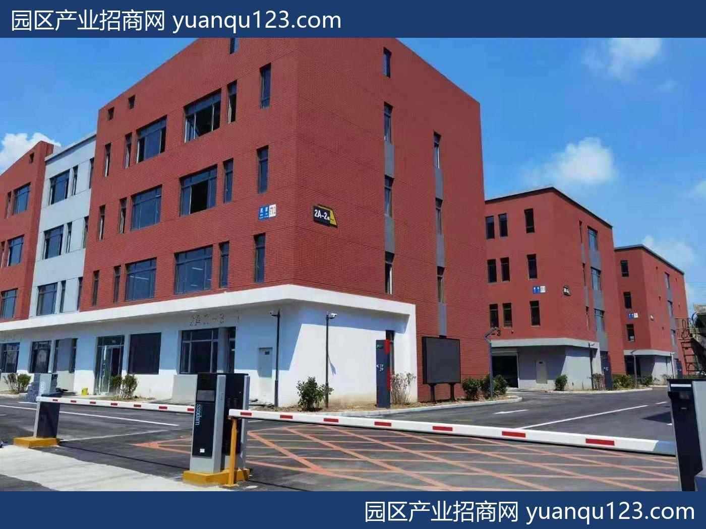 沈阳700㎡ 浑南现房清盘价，年底大促销，2900块钱一平-厂房出租：首层7.8米层高