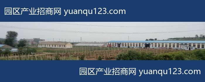 【稀缺】大连1650㎡ 金州华家厂房土地出售-华家屯厂房出售，首层5米层高