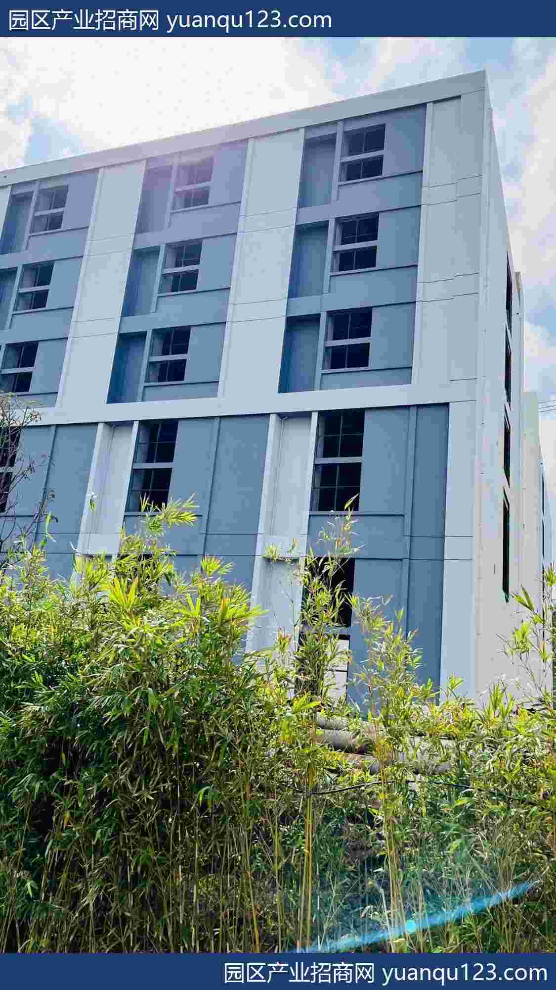 闵行区与申能集团签署全面深化战略合作协议 共推城市生命线建设