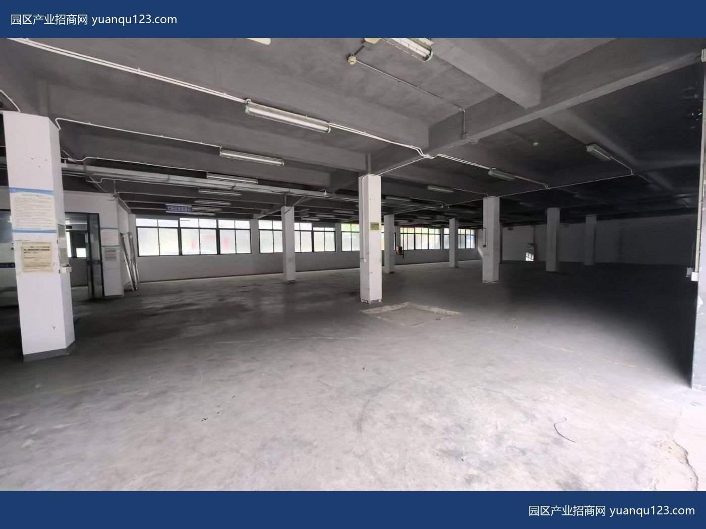 新区深圳1000㎡ 龙华大型工业区一楼1000平厂房出租，首层5米层高
