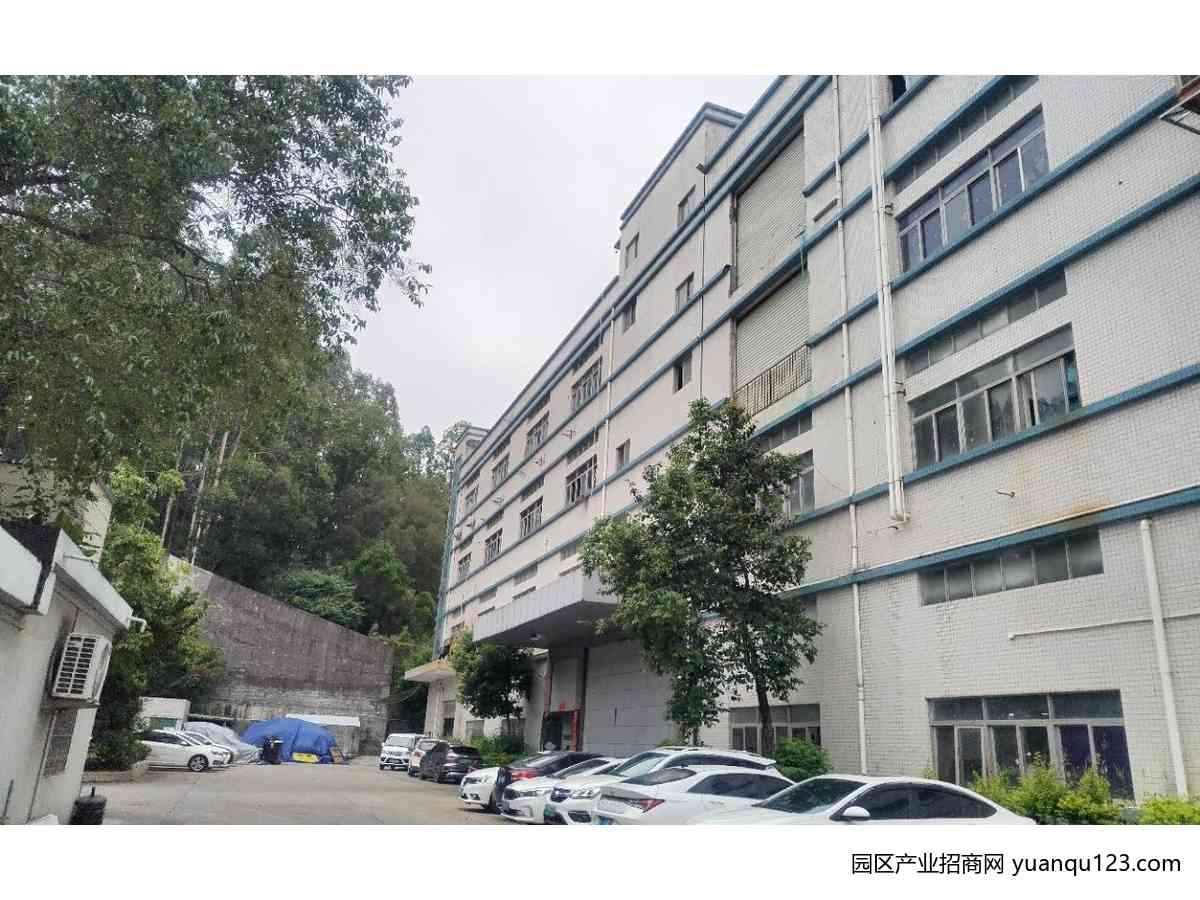 厂房实景