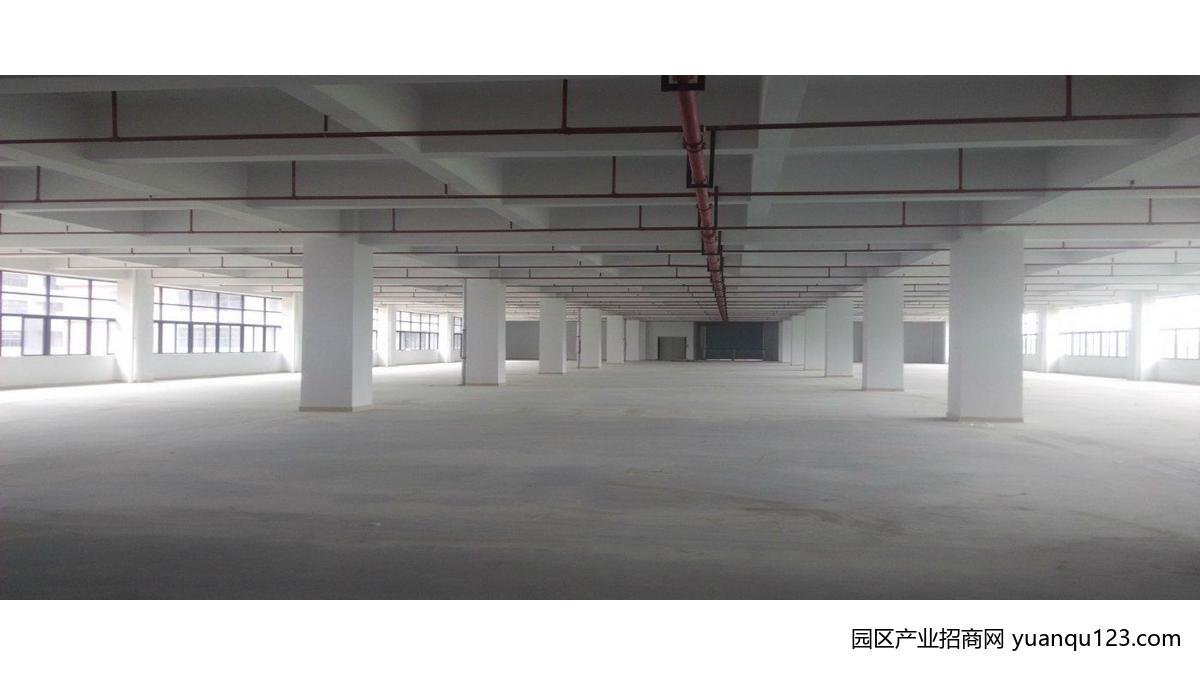 【优质】东莞市黄江镇３３０００平米钢架厂房出租 (可分租)·zngk