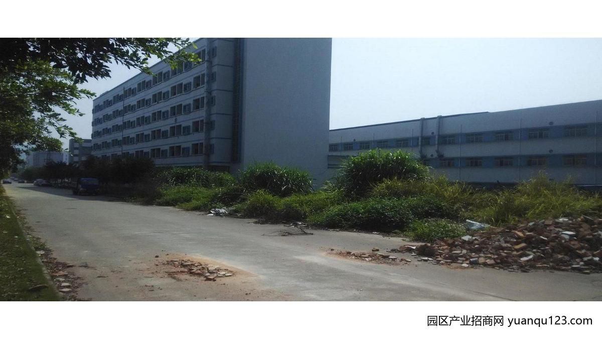 【优质】东莞市常平镇３８０００平米一楼厂房出租 (可分租)·zngk
