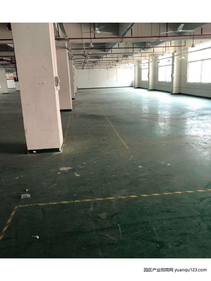 【优质】电子组装加工电商仓库厂房出租3000平有办公室-东莞凤岗凤岗沙岭车站厂房出租