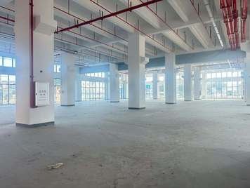 标准层内部柱网实景