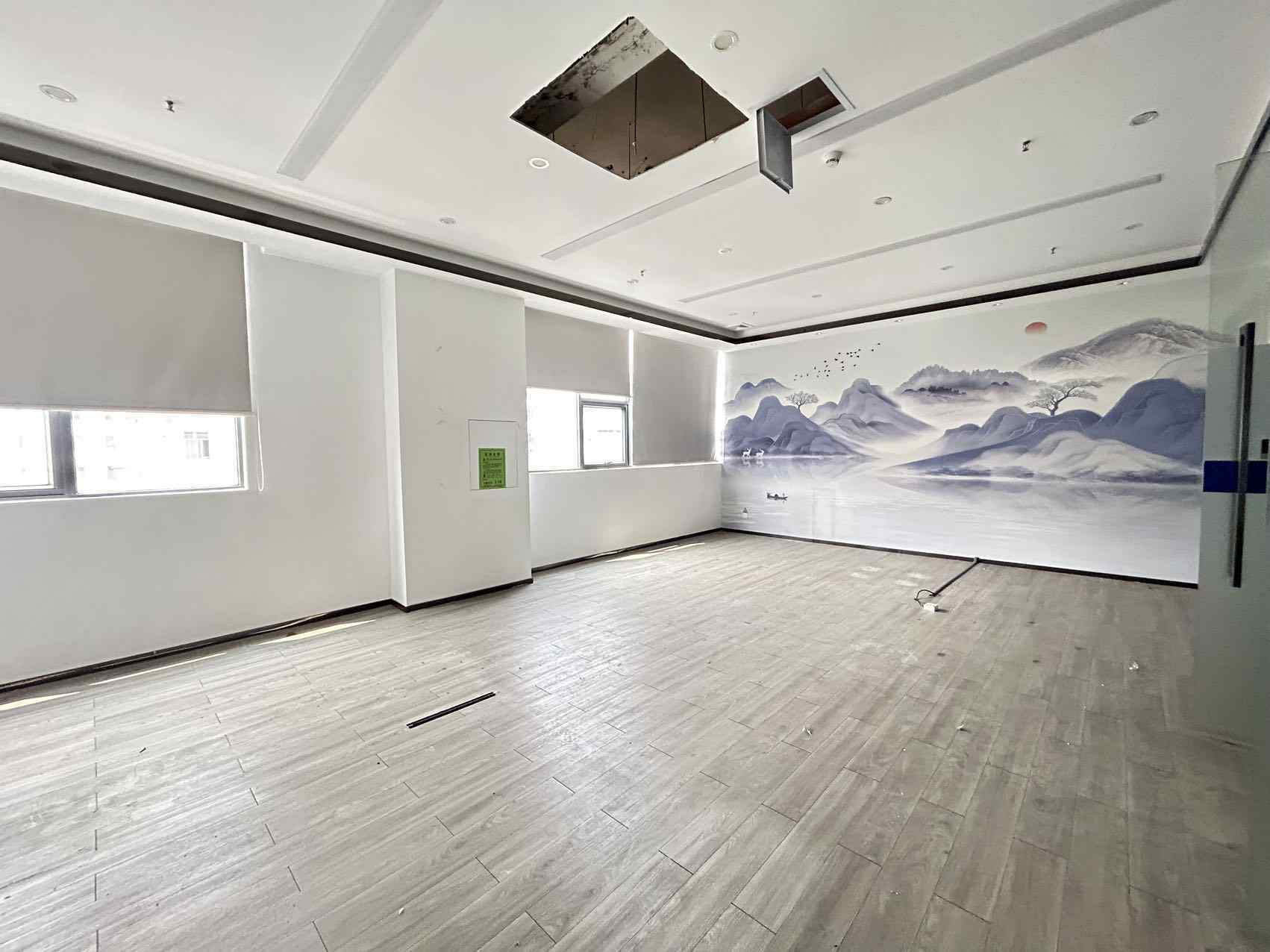 四楼：山水壁画精装办公室